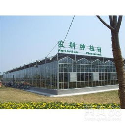 陽(yáng)泉四季恒溫?cái)z影基地玻璃溫室大棚工程中的計(jì)算機(jī)軟件設(shè)計(jì)