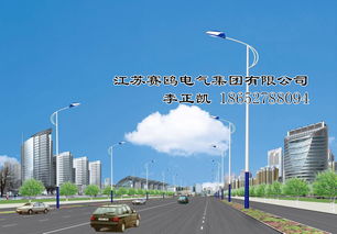 北京8米雙臂LED路燈 產(chǎn)品資料與市場分析