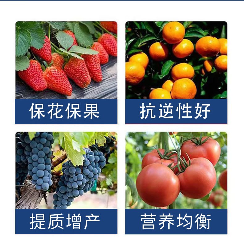 源頭廠家硼鉬果蔬豆類護花護果專用肥 硼鉬合劑水溶肥助力農業高效增產