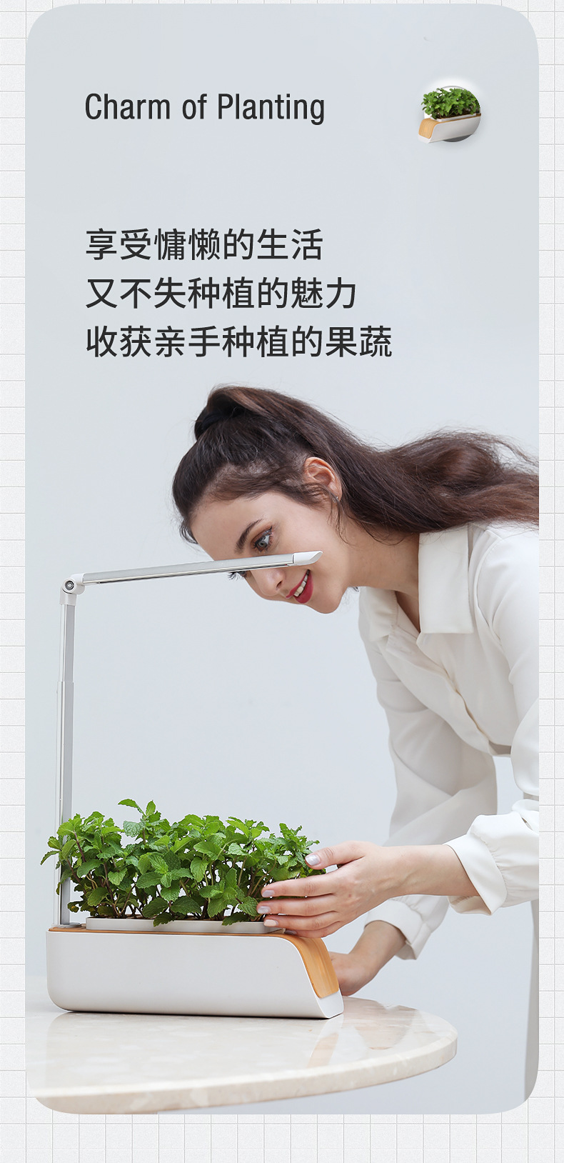 綠色生活的革新 智能水培花盆讓客廳變成家庭菜園
