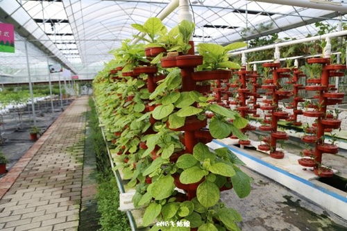 浙江省諸暨市現代農業產業園 果蔬種植引領鄉村振興的實踐范例