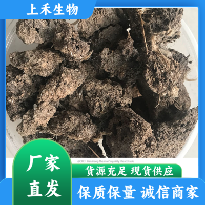 如何利用果蔬花盆栽種植與發酵純羊糞科學調節土壤氮素——助力耕地整改項目高效增產